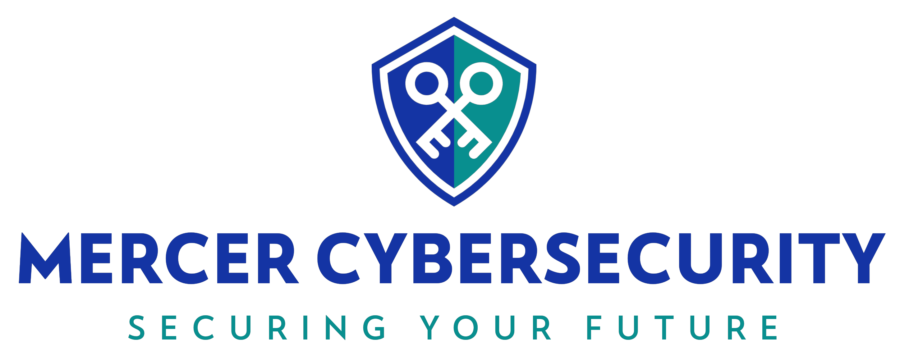 Mercer Cybersecurity